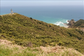 Cape Reinga